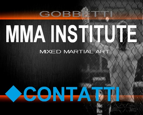  MMA INSTITUTE
